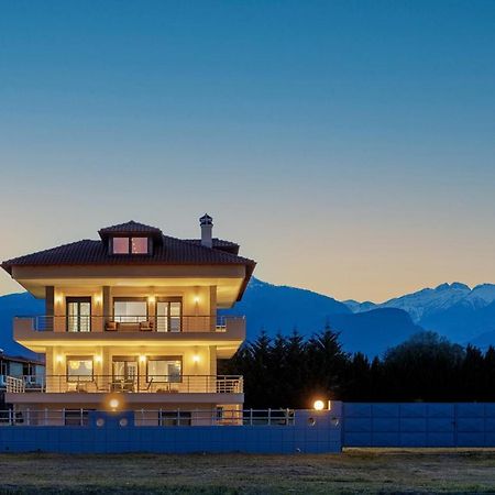 Villa Centaurium, Panel Hospitality Homes & Villas Litochoro Exteriér fotografie